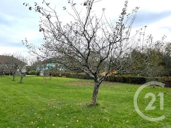 Terrain 700 m²