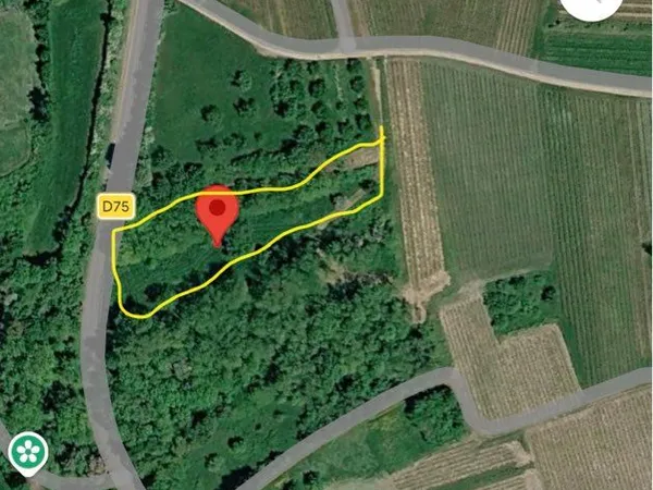 À vendre ou à louer - Verger de 35 ares entre Westhoffen et Wasselonne