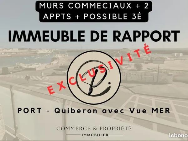 Bien immobilier de rendement Vente Quiberon   2350000€