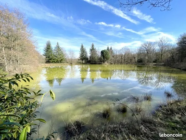 Terrain 33075 m² DOMATS