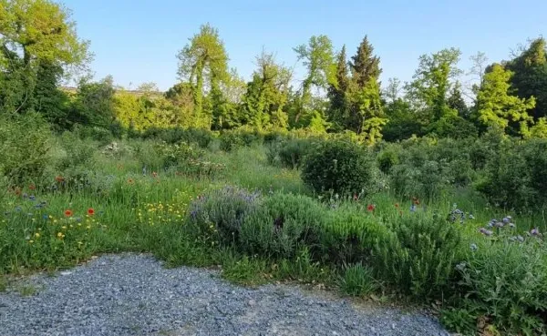 Terrain en individuel 876 m²
