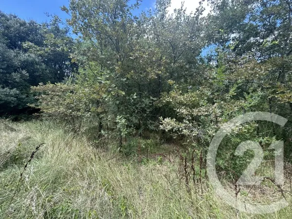 Terrain 6420 m²