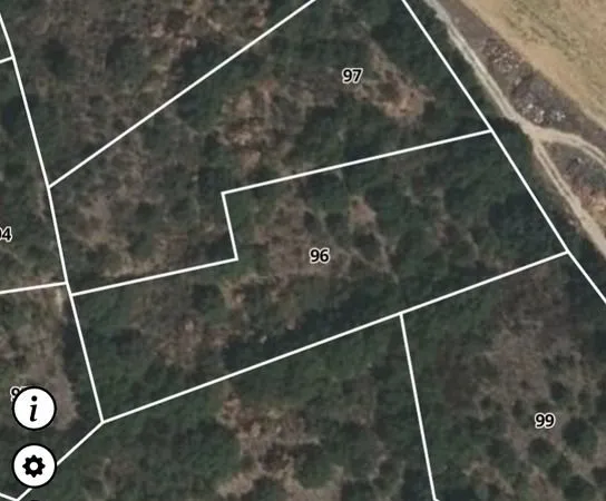 Terrain boisé