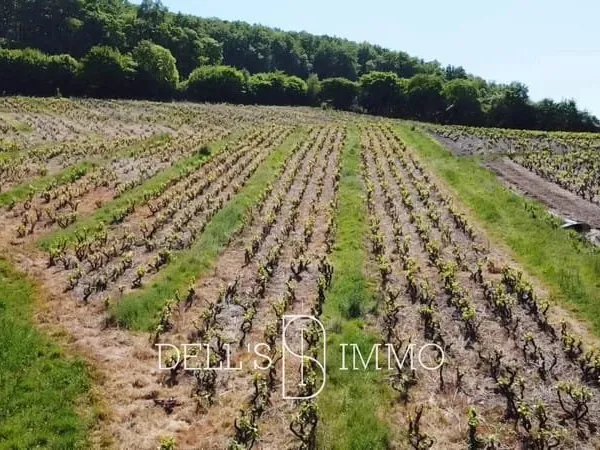 Bien agricole et foncier Vente Saint-Lager  10000m² 49000€