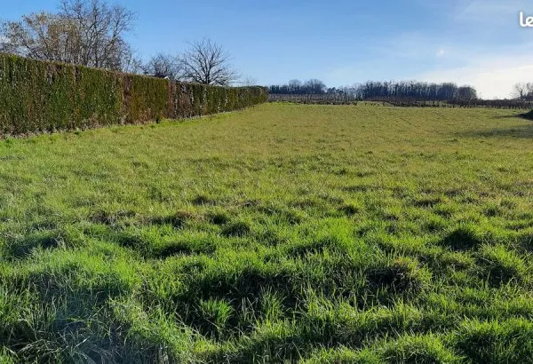 “Rare A vendre Terrain 1950 m² avec vue sur vignes - Sans vis-à-vis - Proche de Chinon”