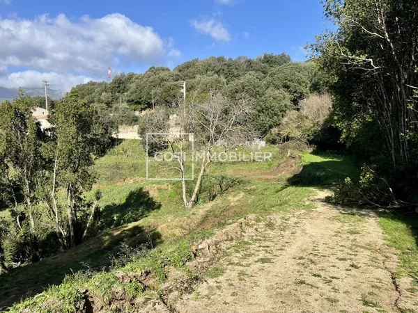 ARBELLARA - TERRAIN CONSTRUCTIBLE - 2594m2