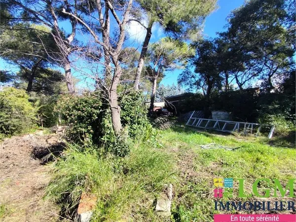 Terrain constructible
