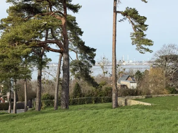 Terrain 2967 m²