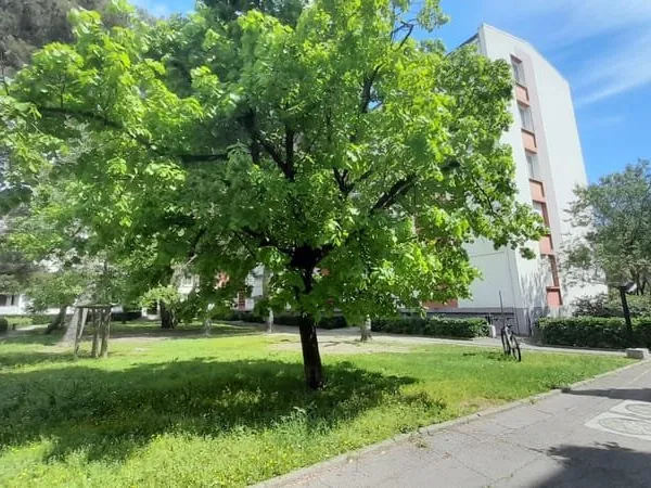 Grand F2 Montpellier Estanove