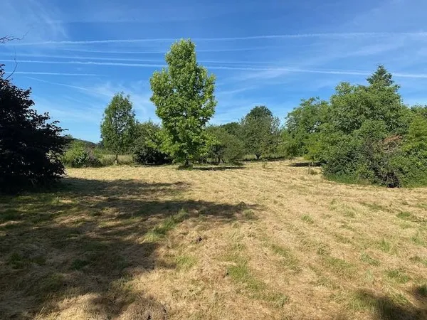 Grand terrain DE LOISIR ARBORÉ