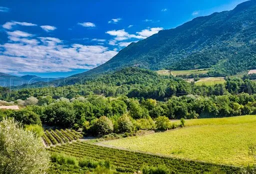 Propriété 1100 m²