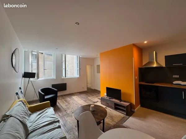 Superbe T2 de standing meublé de 50m² au coeur de Limoges - wifi - lave linge - lave vaisselle - tra