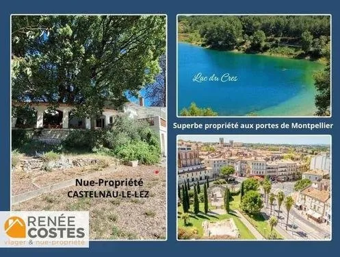 Vente en nue propriété - F73 ans - CASTELNAU LE LEZ (34170)