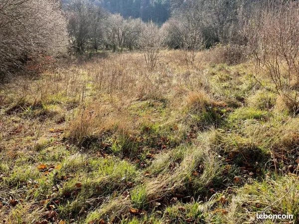 Terrain 2140 m² Grandrieu