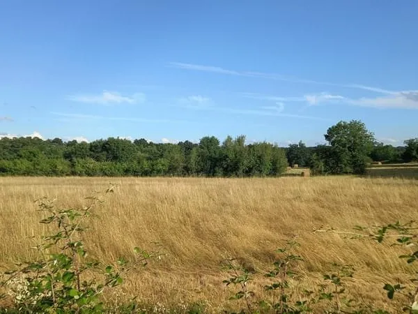 Terrain à 10 minutes de Montpon Ménestérol de 1400 m2.