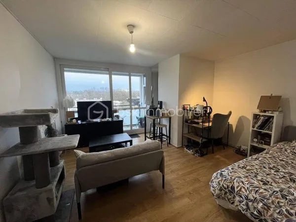 Appartement 1 pièce 29 m²