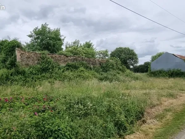 Vend ruine avec 3500 m2 de terrain