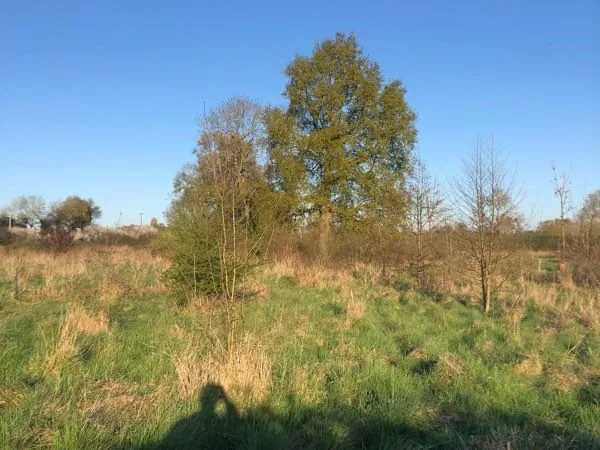 Terrain 2,47HA