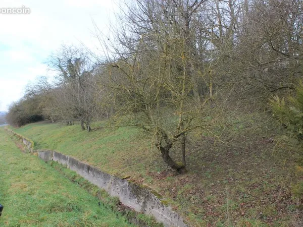 Bien agricole et foncier Vente Messein  1199m² 9600€