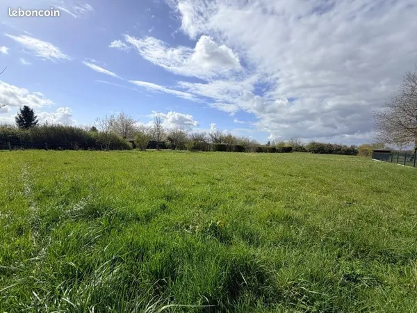 Terrain calme et ouvert sur la nature