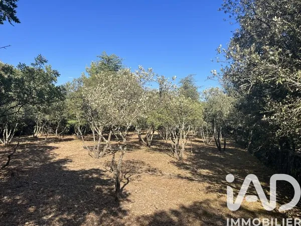 Vente Terrain à bâtir 1 549 m²