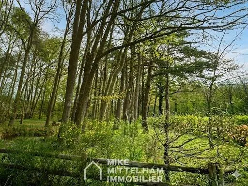 Terrain 1996 m²