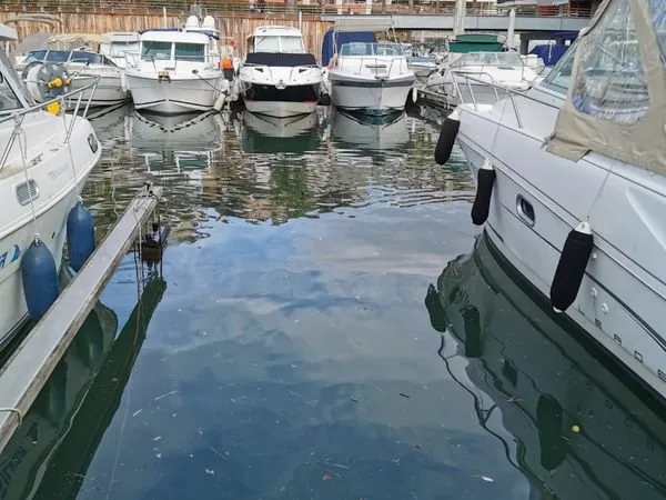 Anneau port privé Marina Parc pleine propriété 7,7x3M mois de MAI 2026