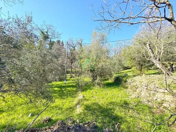 OPIO: proche village