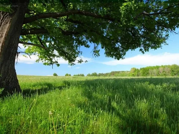 Terrain 396 m²