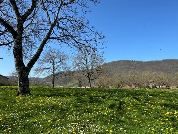 Terrain 1052 m²