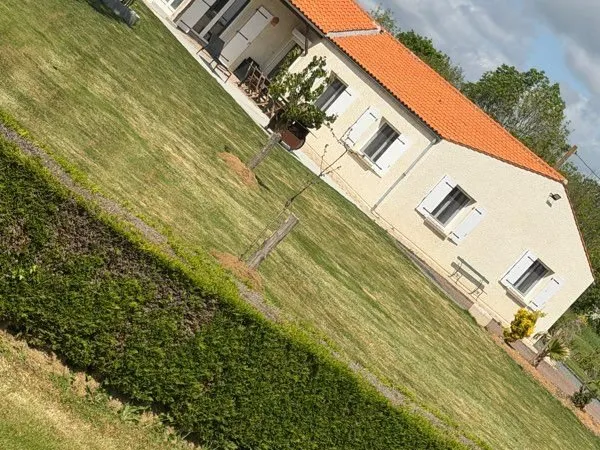 Chambre, disponible, collocation