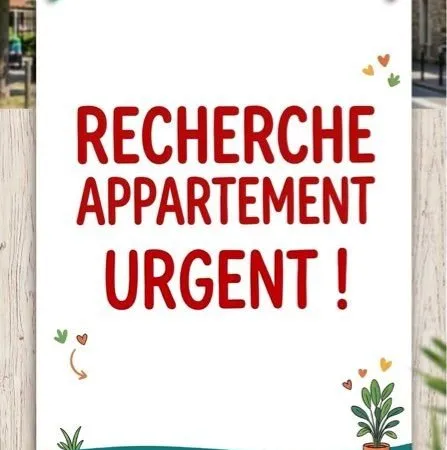 Appartement Location