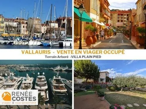 Viager 4 pièces 80 m²