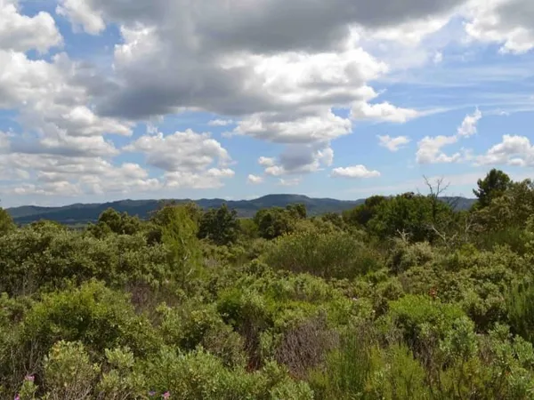 Terrain à bâtir 1165 m²