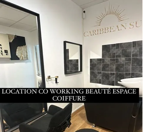Bureau et espace de travail Location Vénissieux   250€