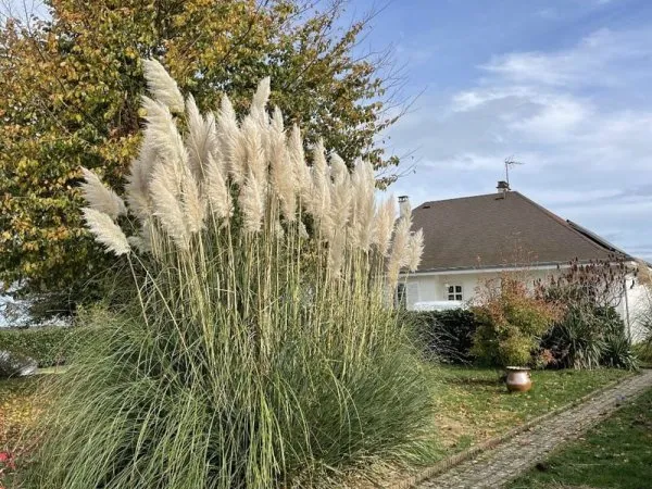 Maison Vente La Souterraine 4p 94m² 180000€