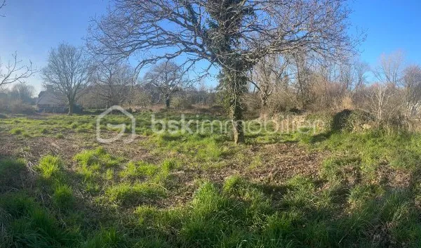 Terrain 1953 m²