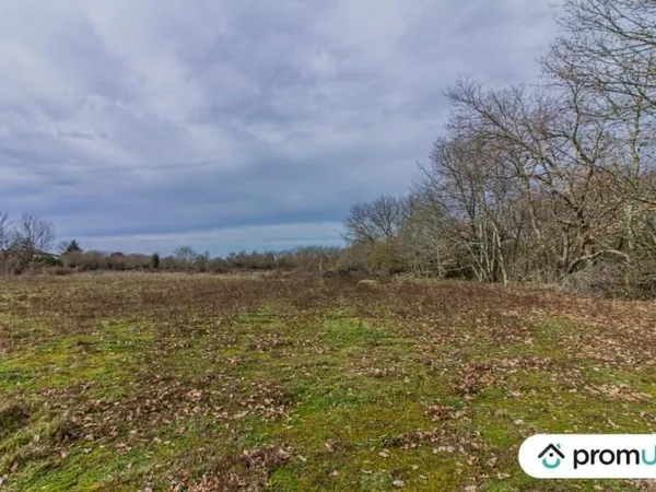 Terrain Constructible de 8 654 m² à Montcaret - Idéal pour un Projet de Lotissement ou une Construct