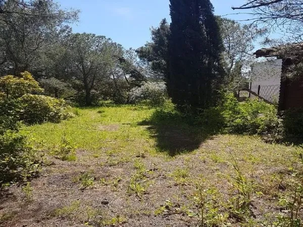 Terrain 820 m²