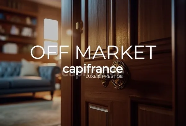 Vends hôtel particulier 356m²