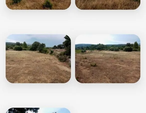 Terrain de loisirs