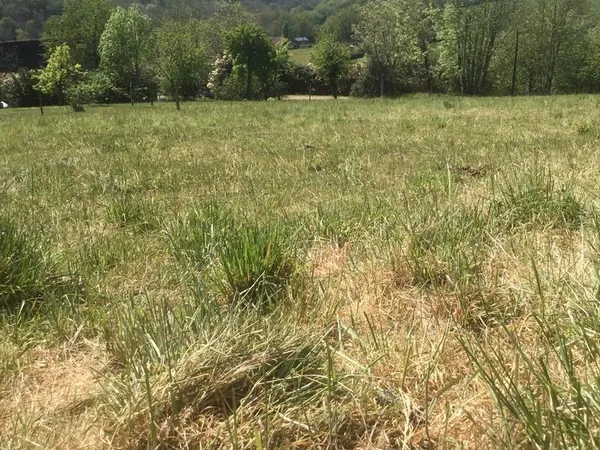 Terrain à vendre