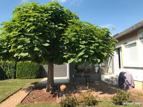 Maison à La Châtre (Indre)
