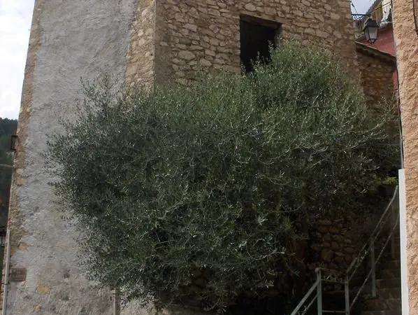 Maison a vendre
