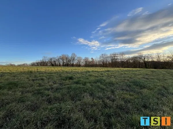 Terrain à bâtir Vente Villeneuve-de-Rivière  3100m² 55000€