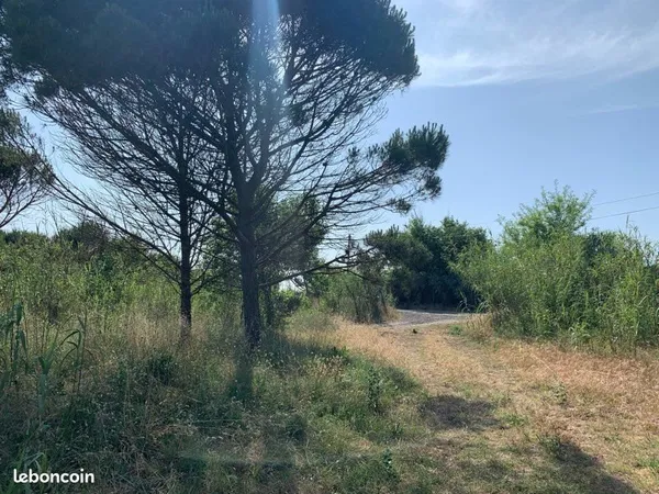 Terrain 1000 m² proche mer - Vias-Plage - accès caravane - plage à 100 m