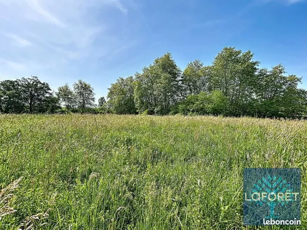 Terrain 2469 m² SAUGNAC ET CAMBRAN