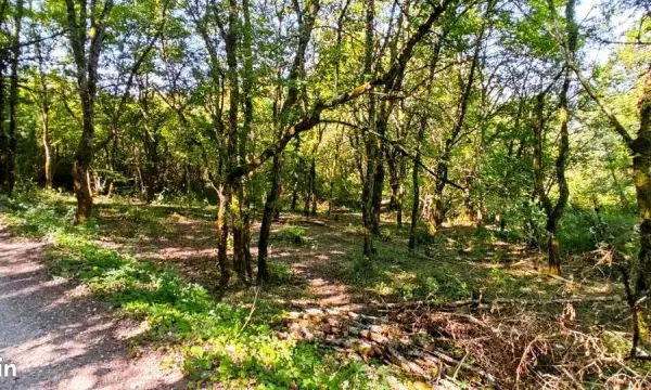 Terrain 430m² Chanaz