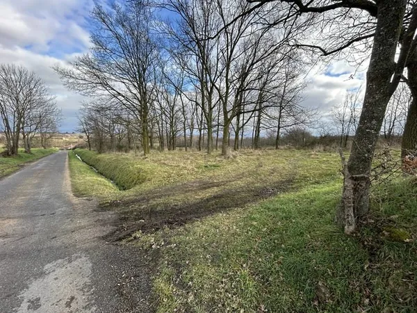 TERRAIN BOISÉ ET DE LOISIRS