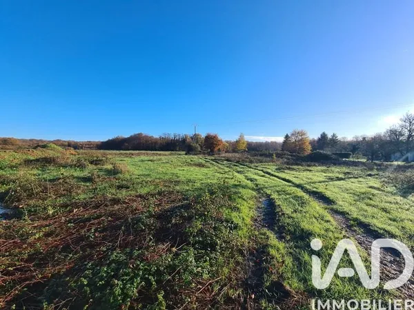 Terrain 1960 m²